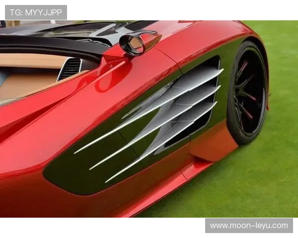 埃琳·安德森训练完顺手买了辆超跑，说是为了省油？